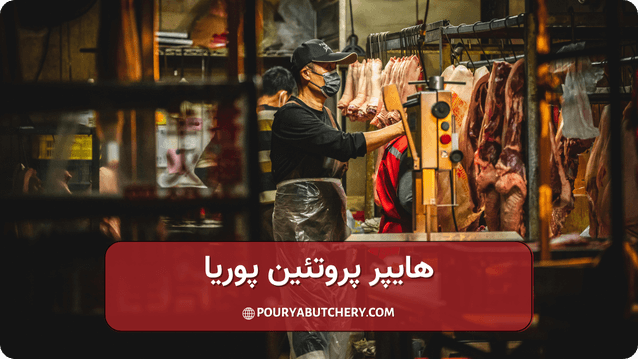 چگونه خرید اینترنتی محصولات پروتئینی انجام دهیم