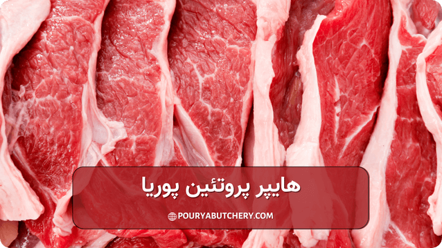 چربی گوشت گوسفندی بیشتر است یا گوساله