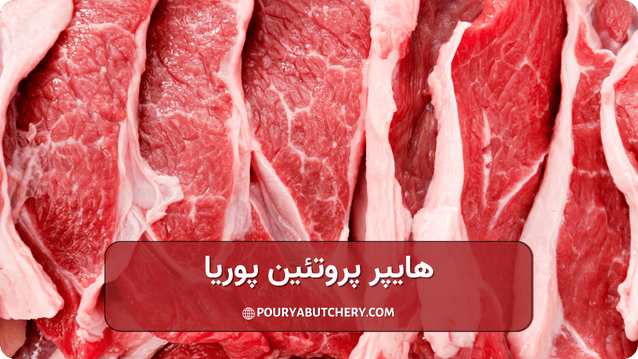 برای خرید گوشت گوسفندی غرب تهران به چه نکاتی باید توجه کرد
