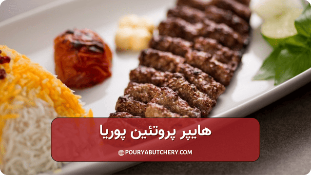 بهترین گوشت برای کباب کوبیده رژیمی چیست