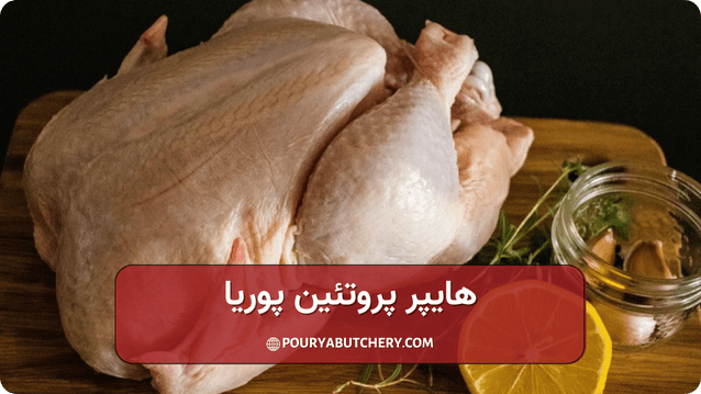بهترین گوشت چه گوشتی است: گوشت مرغ