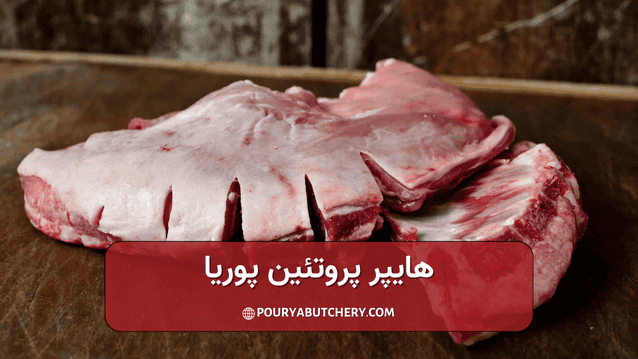 بهترین قسمت های گوشت گوسفند برای تجربه ای تازه