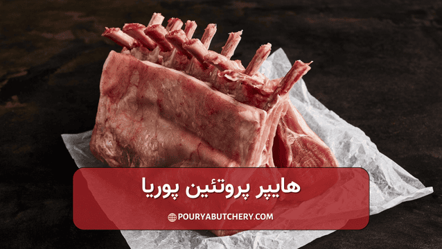 بهترین قسمت گوشت گوسفند برای ترکیبی از چربی و پروتئین