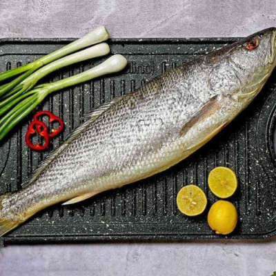 ماهی شوریده