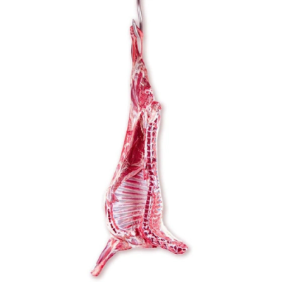 شقه بی دنبه