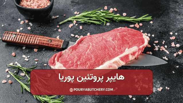راسته گوساله برای چی خوبه و کاربردش چیه