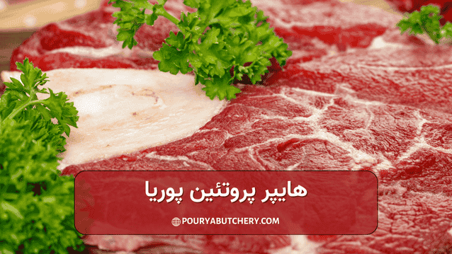 پروتئین بالا از مهمترین خواص گوشت گوساله