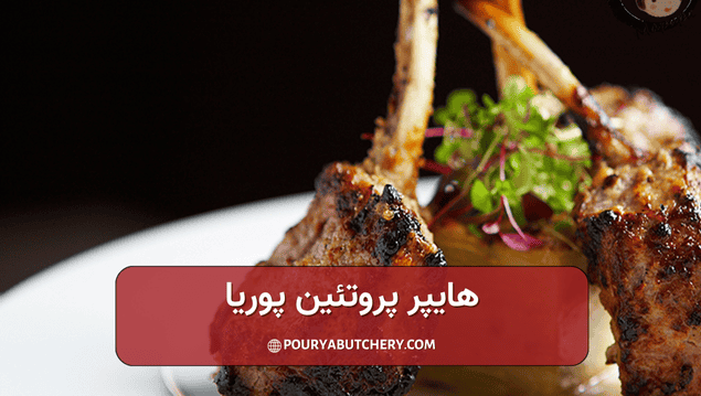 ران یا سردست گوساله در کجا قرار دارد