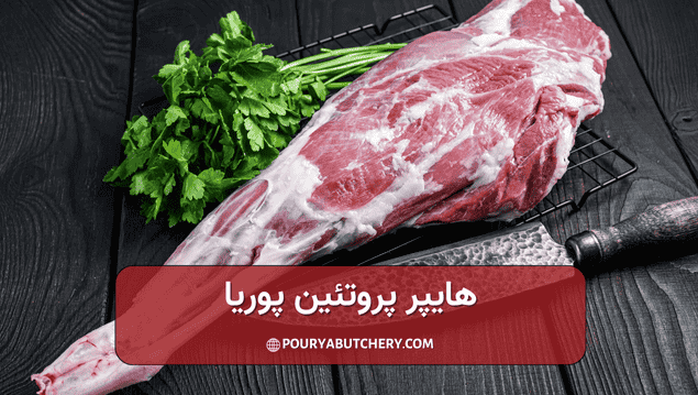 ویژگی های ران بهتر است یا سردست