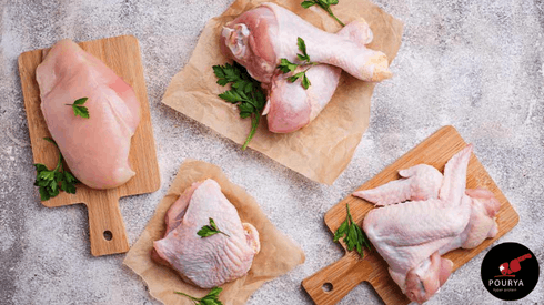 انواع گوشت سفید